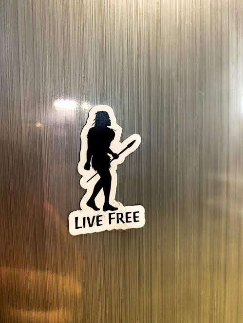 Live Free Small Magnet